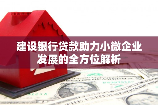 东凤建设银行贷款助力小微企业发展的全方位解析