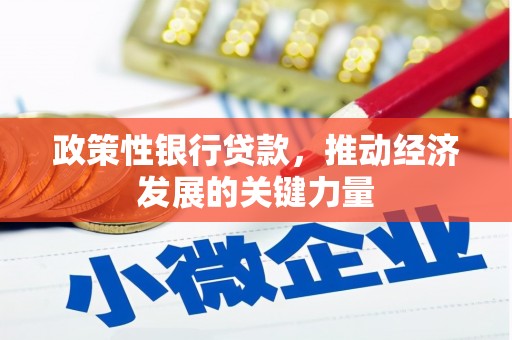 东凤政策性银行贷款，推动经济发展的关键力量