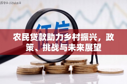 东凤农民贷款助力乡村振兴，政策、挑战与未来展望