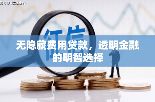 东凤无隐藏费用贷款，透明金融的明智选择