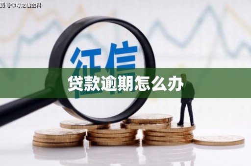 东凤贷款逾期怎么办