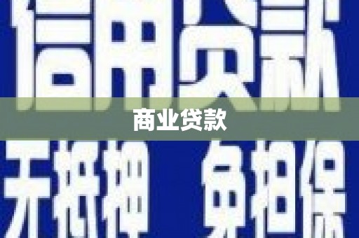 东凤商业贷款