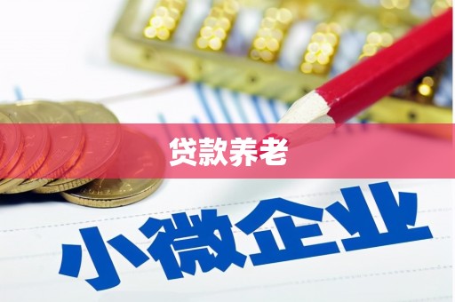 东凤贷款养老