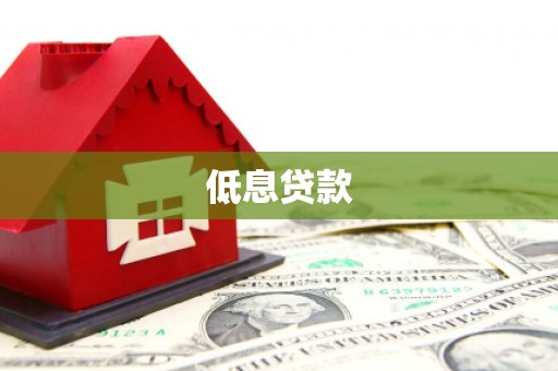 东凤低息贷款