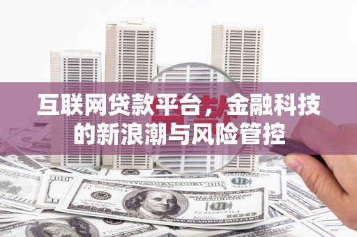 东凤互联网贷款平台，金融科技的新浪潮与风险管控