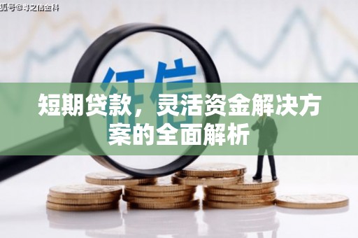 东凤短期贷款，灵活资金解决方案的全面解析