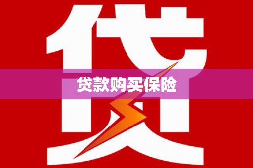 东凤贷款购买保险