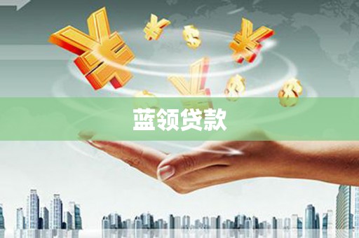 东凤蓝领贷款