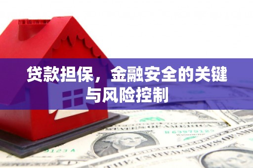 东凤贷款担保，金融安全的关键与风险控制