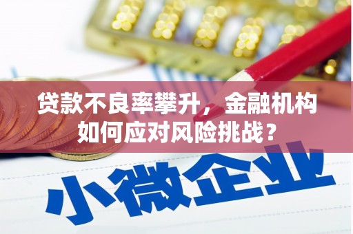 东凤贷款不良率攀升，金融机构如何应对风险挑战？