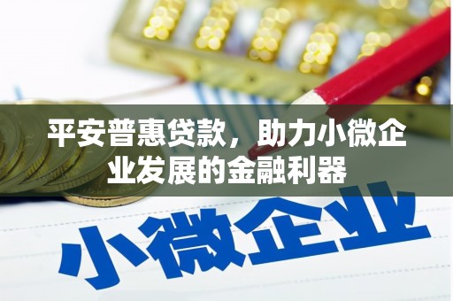 东凤平安普惠贷款，助力小微企业发展的金融利器