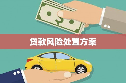 东凤贷款风险处置方案