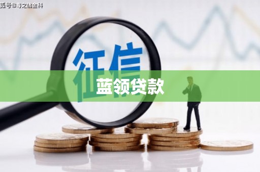 东凤蓝领贷款