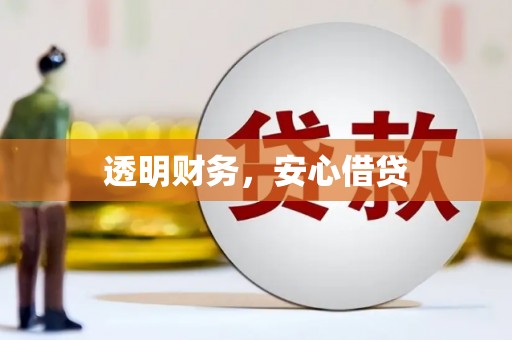 东凤透明财务，安心借贷