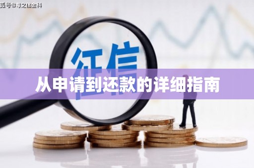 东凤从申请到还款的详细指南