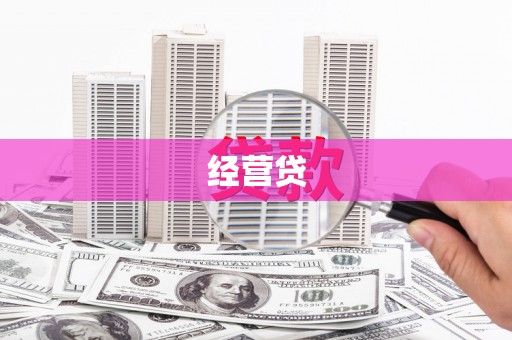 东凤经营贷