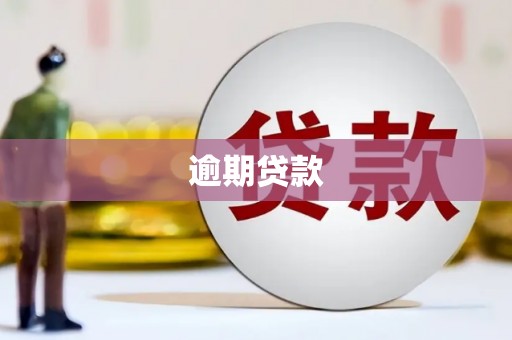东凤逾期贷款