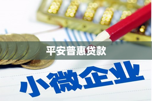 东凤平安普惠贷款